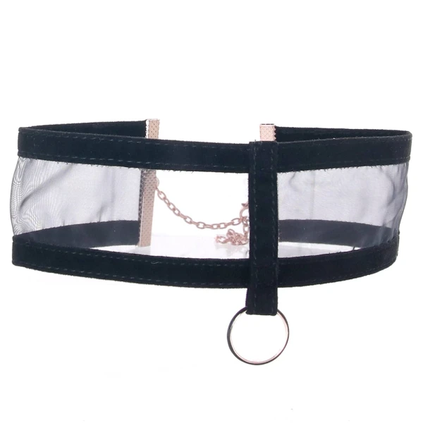 Sex & Mischief Sheer Day Collar By Sportsheets