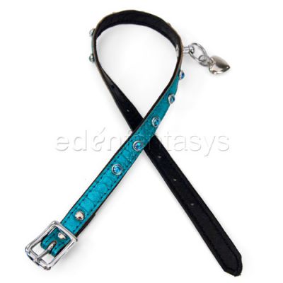 Ruff doggie styles sea foam seduction collar