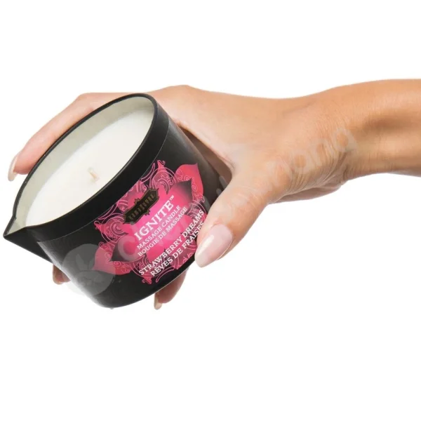 Kama Sutra Treasure Trove Romanic Playset