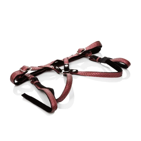 Her Royal Harness the Regal Duchess - Red — image 6 of 6