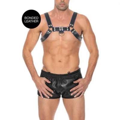 Chest Bulldog Harness