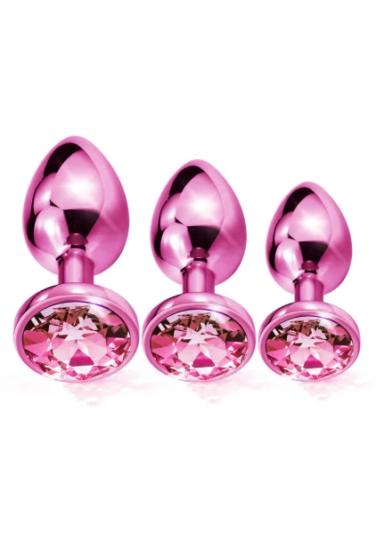 Nixie Metal Butt Plug Trainer Set