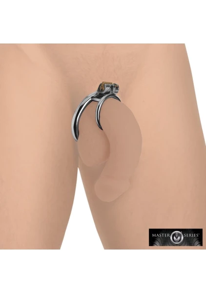 Master Series Stainless Steel Locked Cock & Ball Ring