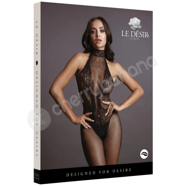 Le Desir Fishnet & Lace Bodystocking