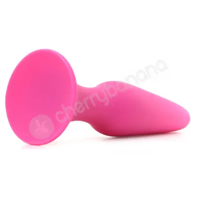 Sliders Pink Small Butt Plug