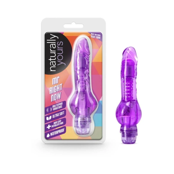 Mr Right Now Realistic Vibrator
