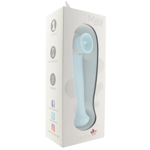 Destiny Sucking, Flickering and Vibrating Massager