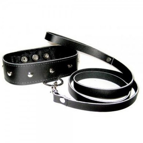 Leather leash and collar