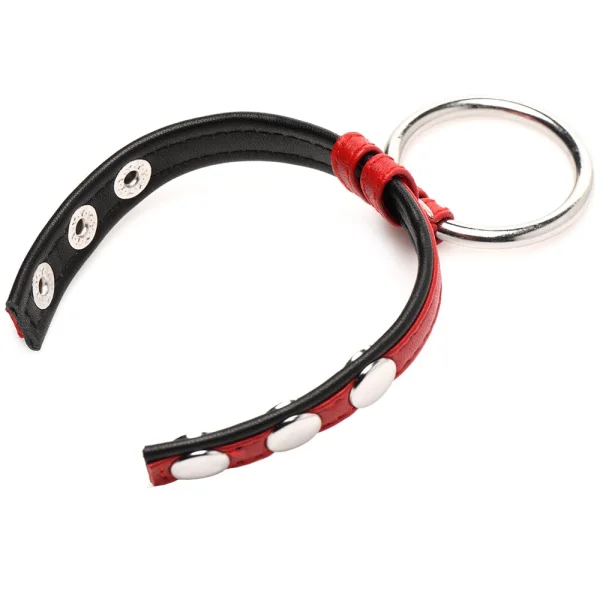 Strict Leather and Steel Cock & Ball Ring