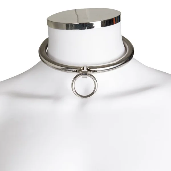 Bondara Luxe Stainless Steel Combination Lock Collar — image 4 of 5