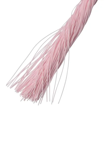 Whip and Tickle — image 11 of 25