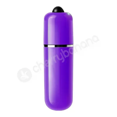 Le Reve Purple Bullet Vibrator