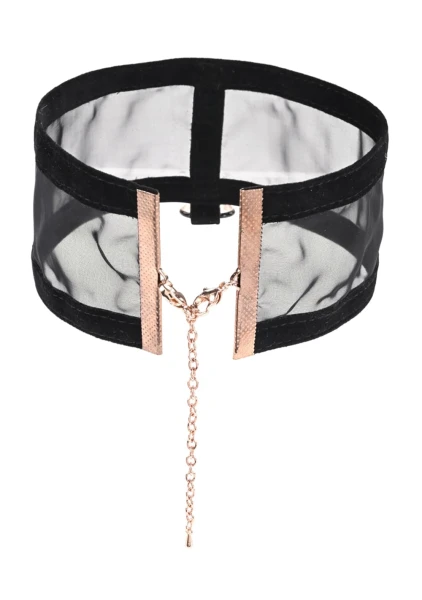 Sex & Mischief Sheer Day Collar By Sportsheets