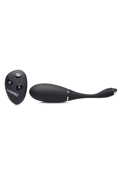 Voice Activated 10x Vibrating Egg With Remote Control