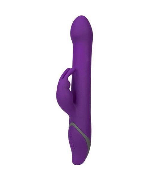 Commotion Rhumba Rabbit