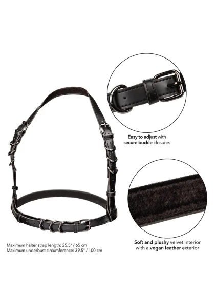 Euphoria Collection Halter Buckle Harness