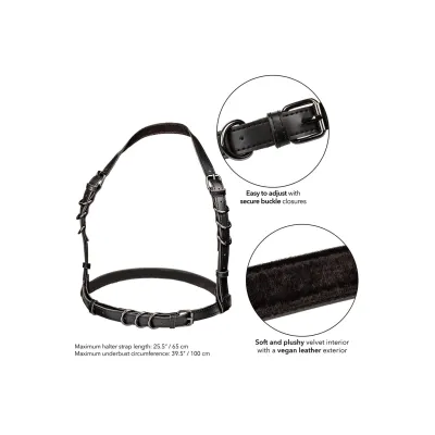 Euphoria Collection Halter Buckle Harness