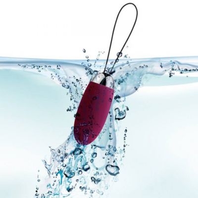 Svakom Elva 11 Function Remote Control Vibrating Love Egg