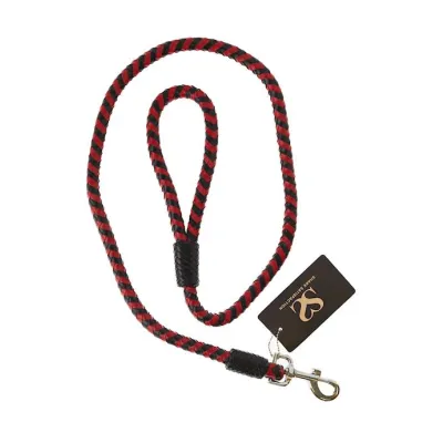 Bound X Braided Leather Leash