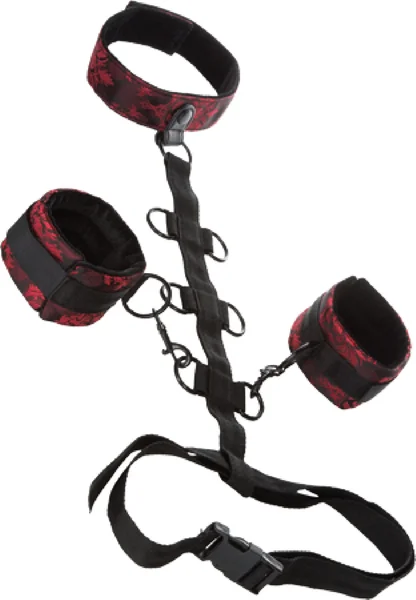 Collar Body Restraint — image 6 of 8