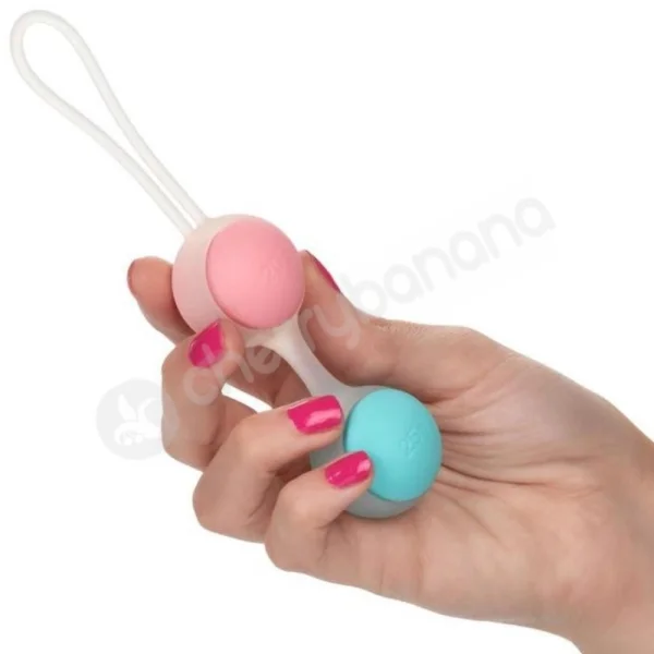 She-ology Interchangeable Weighted Kegel 8 Piece Set