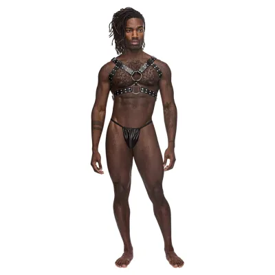 Male Power Gemini