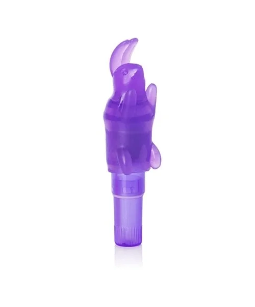 Shanes World Pocket Party