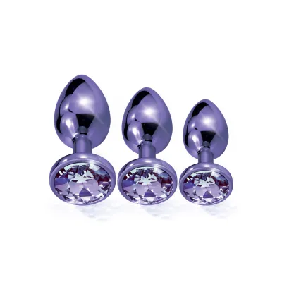 Nixie Metal Butt Plug Trainer Set