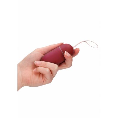 10 Speed Remote Vibrating Egg Big Red Vibrating Love Egg