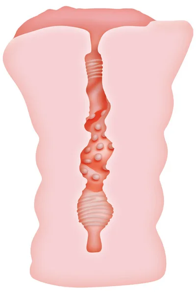 Adam and Eve 6.3" Juicy Self-Lubricating Stroker — image 5 of 6