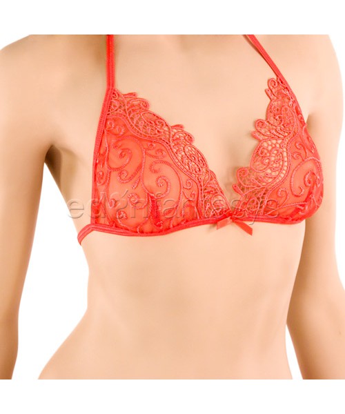 Lace bra, skirt, and thong