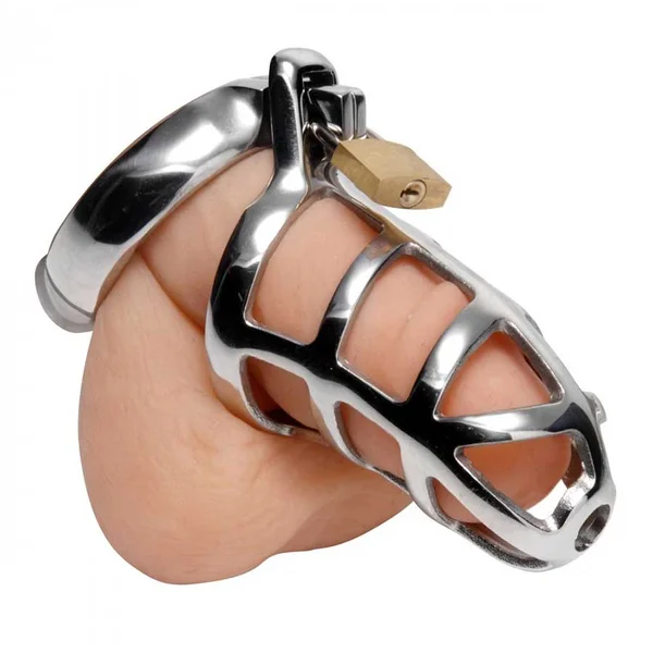 Detained Locking 3 Inch Stainless Steel Chastity Cage — image 3 of 4