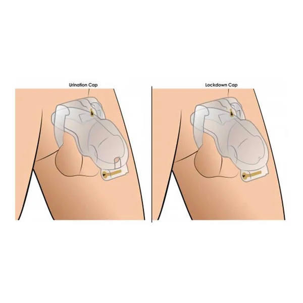 Customizable Locking 3.5 Inch Adjustable Clear Chastity Cage — image 6 of 7
