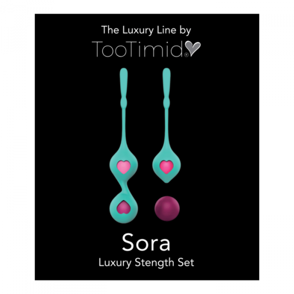 Combination Duo Tone Kegel Ball and Pleasure Ball Exerciser Set