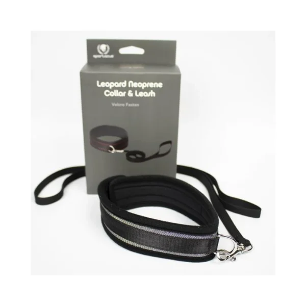 Spartacus Collar And Leash Neoprene Silver