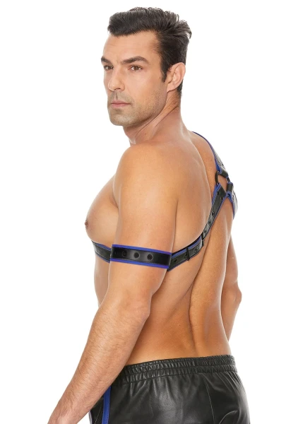 Gladiator Harness