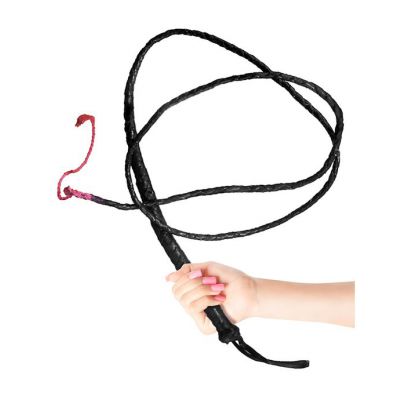 Fetish Fantasy 6ft Whip Black