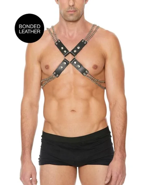 Chain And Chain Harness