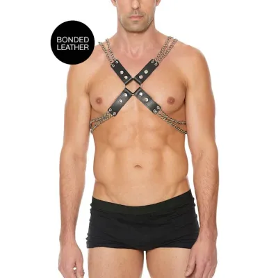 Chain And Chain Harness