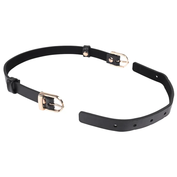 Sex & Mischief Double Buckle Day Collar By Sportsheets - Black & Gold