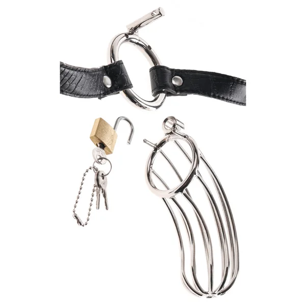 Fetish Fantasy Extreme Steel Chastity Cock Cage Belt — image 14 of 17