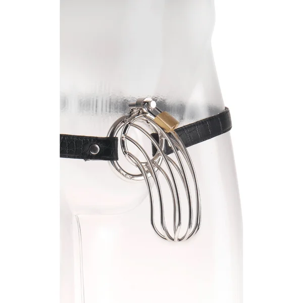 Fetish Fantasy Extreme Steel Chastity Cock Cage Belt — image 16 of 17