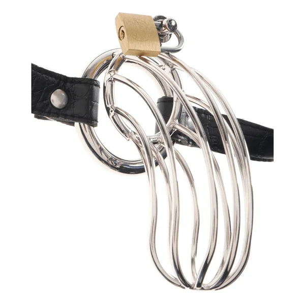 Fetish Fantasy Extreme Steel Chastity Cock Cage Belt — image 13 of 17