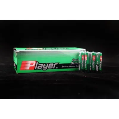 Player Extra Heavy Duty AA Batteries 60 Count Box