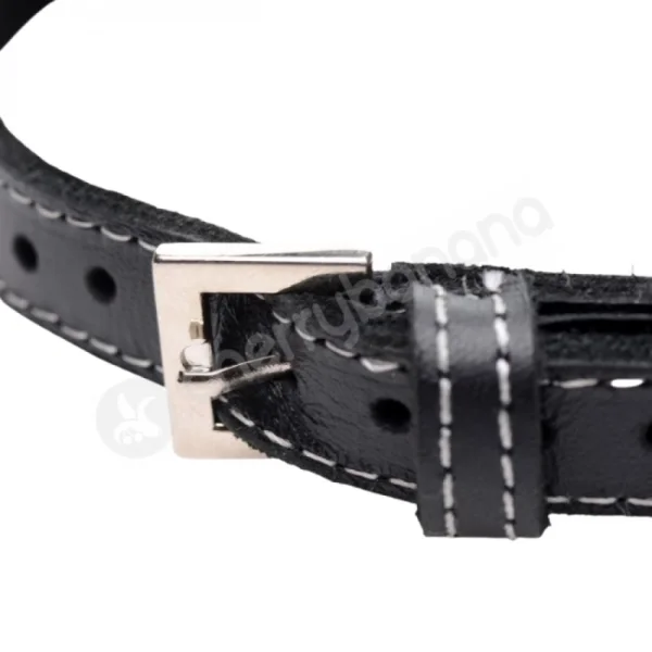 Master Series Bling Vixen Leather Adjustable Choker W/ Purple Rhinestones