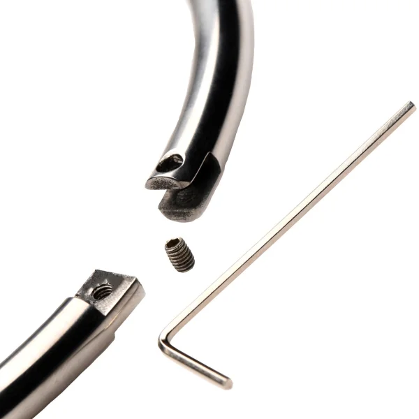 Master Series Possession Stainless Steel Locking Collar - Small