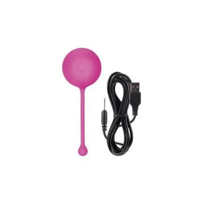 Envy Sixteen Pink