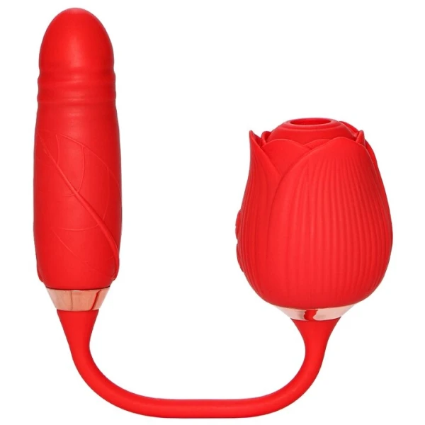 Blissful Bouquet 20 Function Clit Stimulator & Thrusting Love Egg