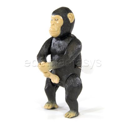 Masturbating monkey