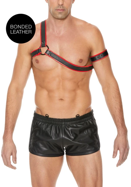 Gladiator Harness